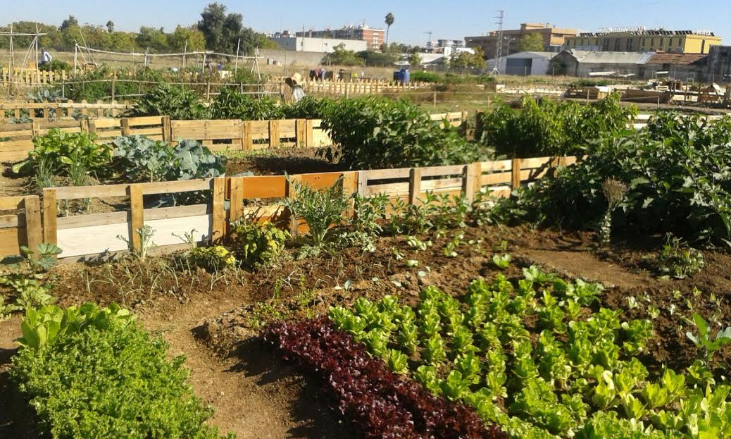 Comunidad de Hortelanos El Cordel de Écija”