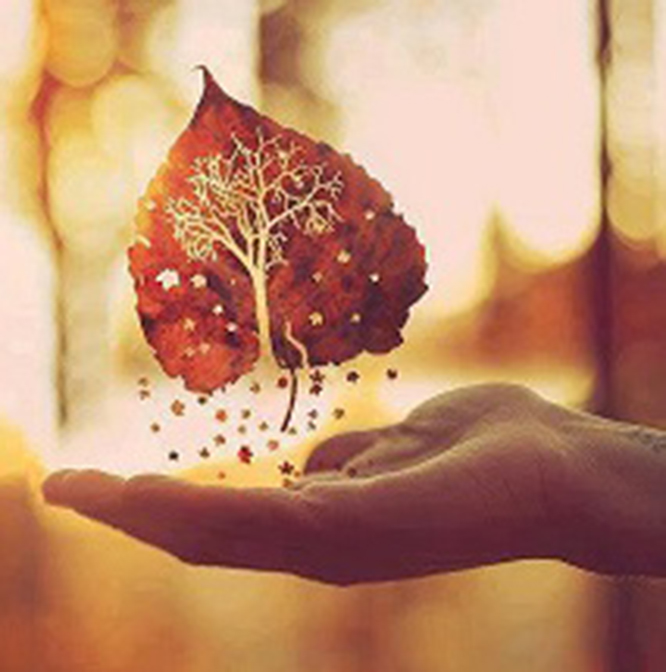 Por un «buen morir»