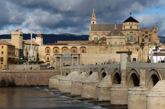 Servicios públicos universales, al servicio del pueblo