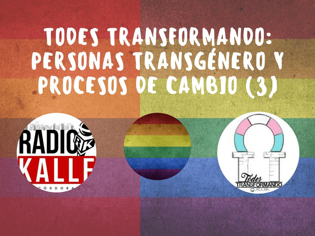 Todes Transformando: personas transgénero y procesos de cambio (3)