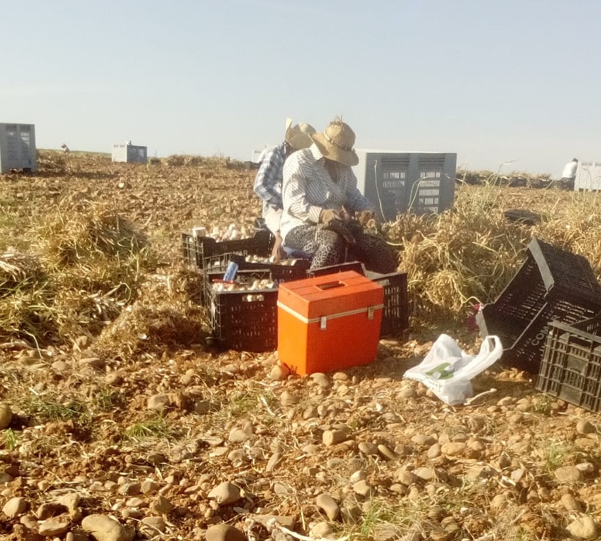 El campo cordobés, una auténtica selva