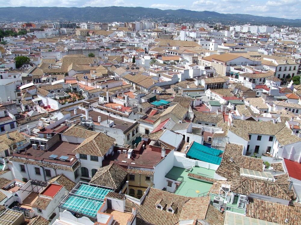 El Consejo del Movimiento Ciudadano favorable a la restricción de viviendas turísticas en el Casco
