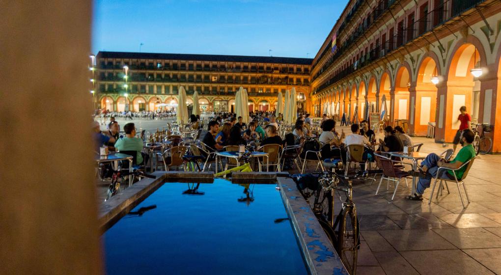 La Federación de Asociaciones Vecinales Al-Zahara apoya las medidas encaminadas a cambiar el actual estado del turismo en la ciudad