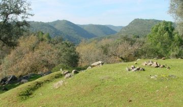 Propuestas para una estrategia local de medio ambiente en la ciudad de Córdoba