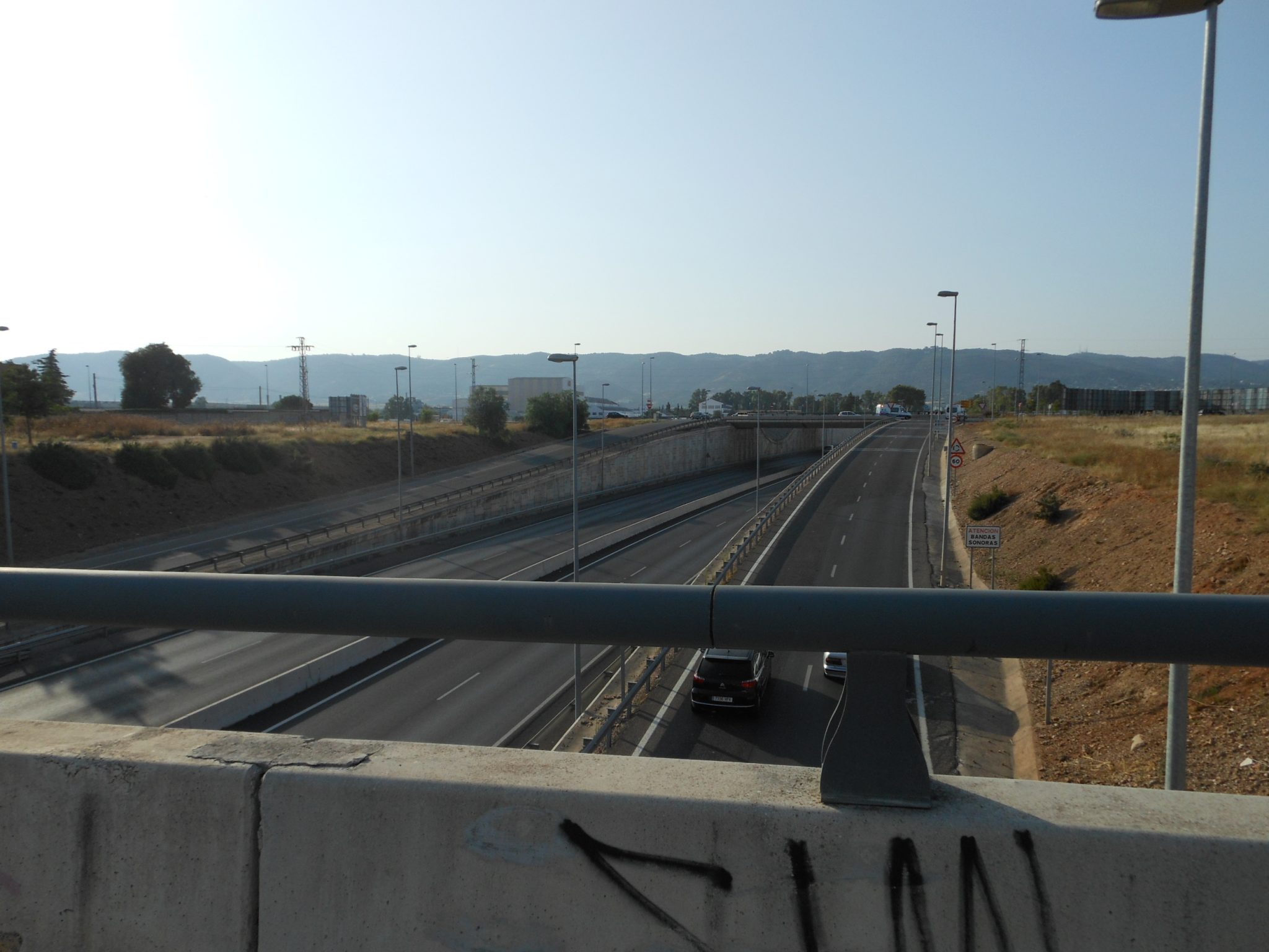 Ganemos denuncia la nula voluntad municipal para aumentar la superficie arbolada de la ciudad