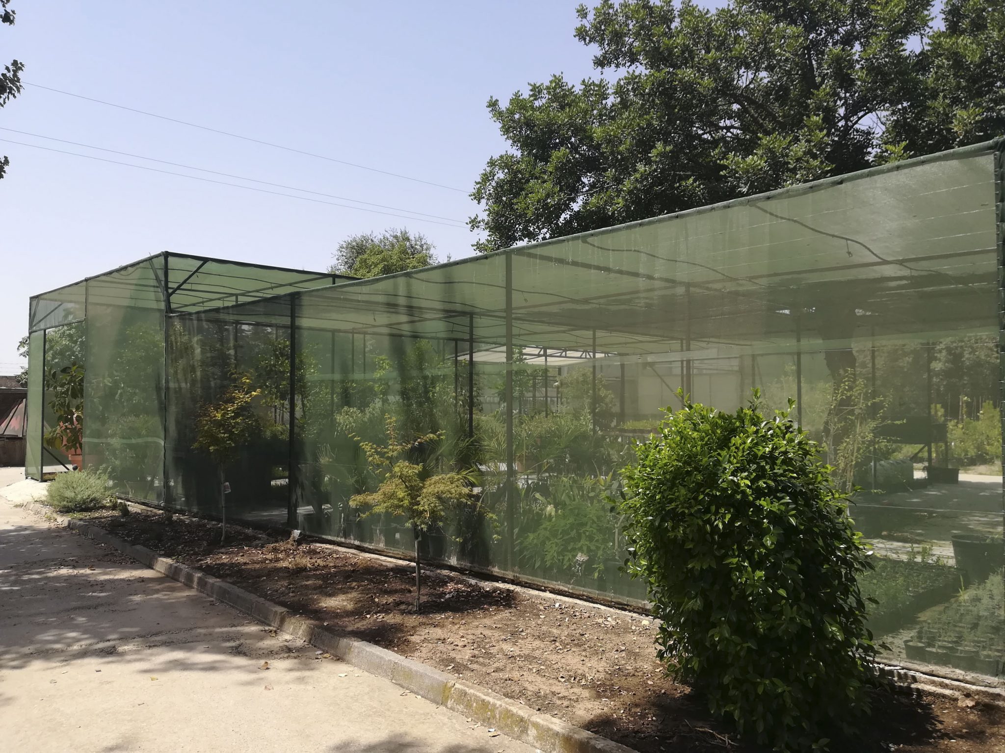 El IMGEMA habilita 2.500 metros para ampliar su espacio de viveros y crea nuevas zonas de huertos