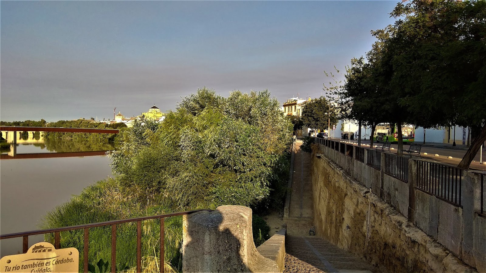 Sobre la vegetación del río Guadalquivir a su paso por Córdoba
