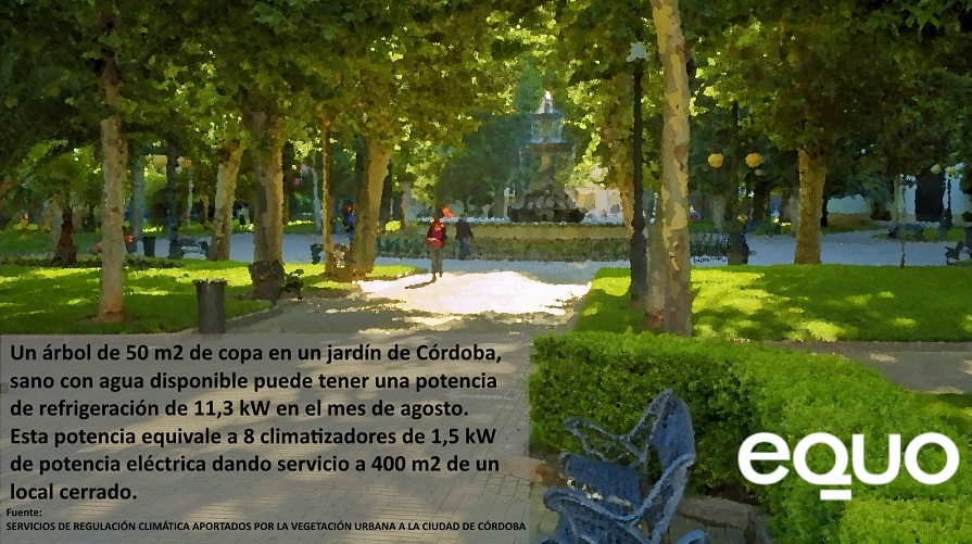 EQUO alerta sobre la urgente necesidad de más árboles, más bosques y más sombras en Córdoba y provincia