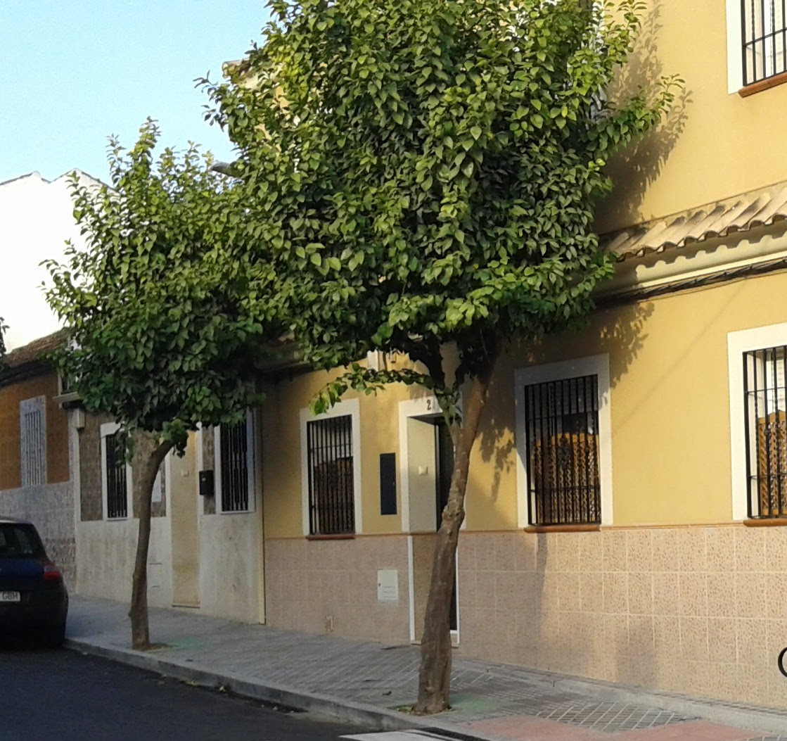 Al-zahara exige una gestión unitaria de los grandes parques de la ciudad