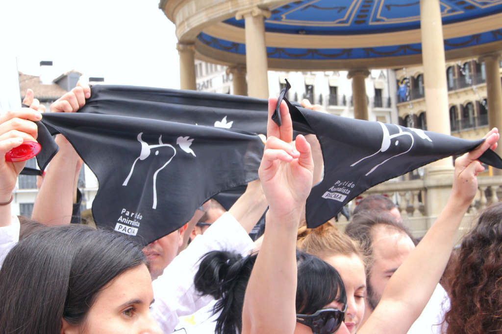 EQUO invita a los colectivos animalistas y partidos políticos a trabajar para eliminar de nuestras ferias y fiestas el maltrato animal