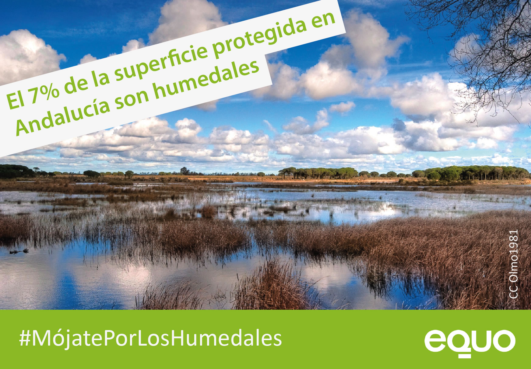 EQUO reclama a las organizaciones agrarias una visión del medio rural «acorde con el siglo XXI