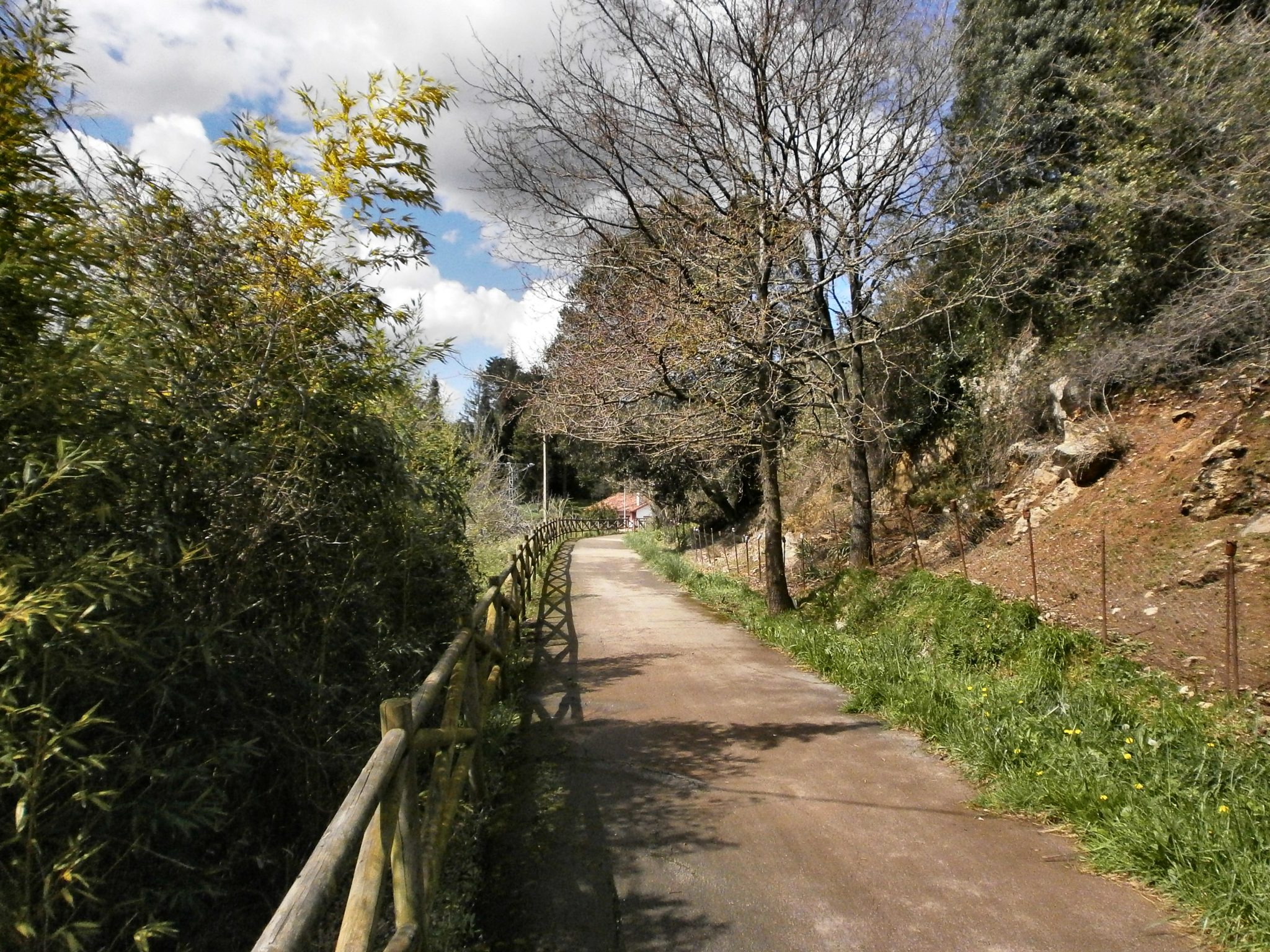 EQUO muesta su apoyo a la moción para compatibilizar la vía verde y recuperar el tren hacia el norte de la provincia