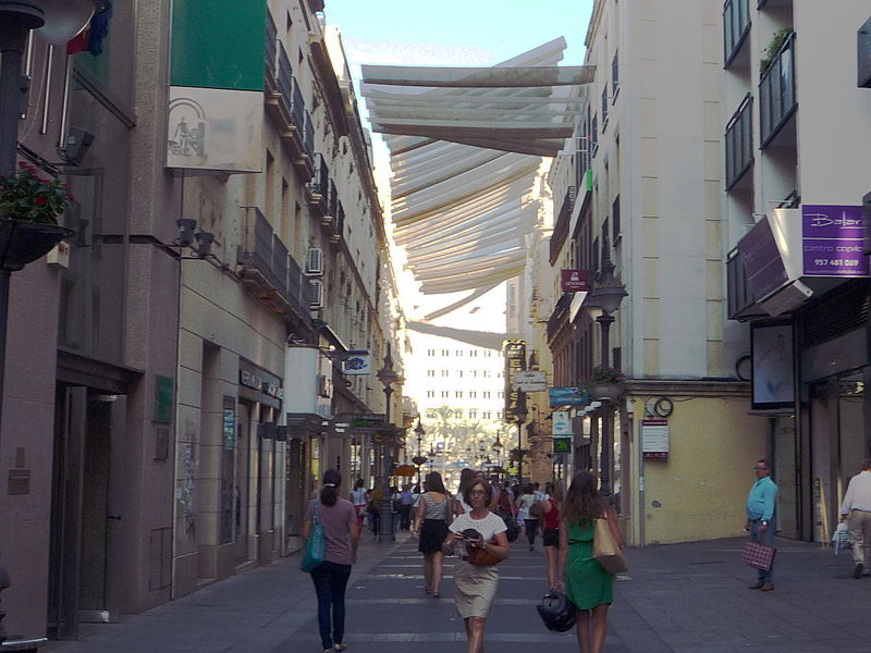 El Consejo del Movimiento Ciudadano demanda una regulación única del uso de la vía pública