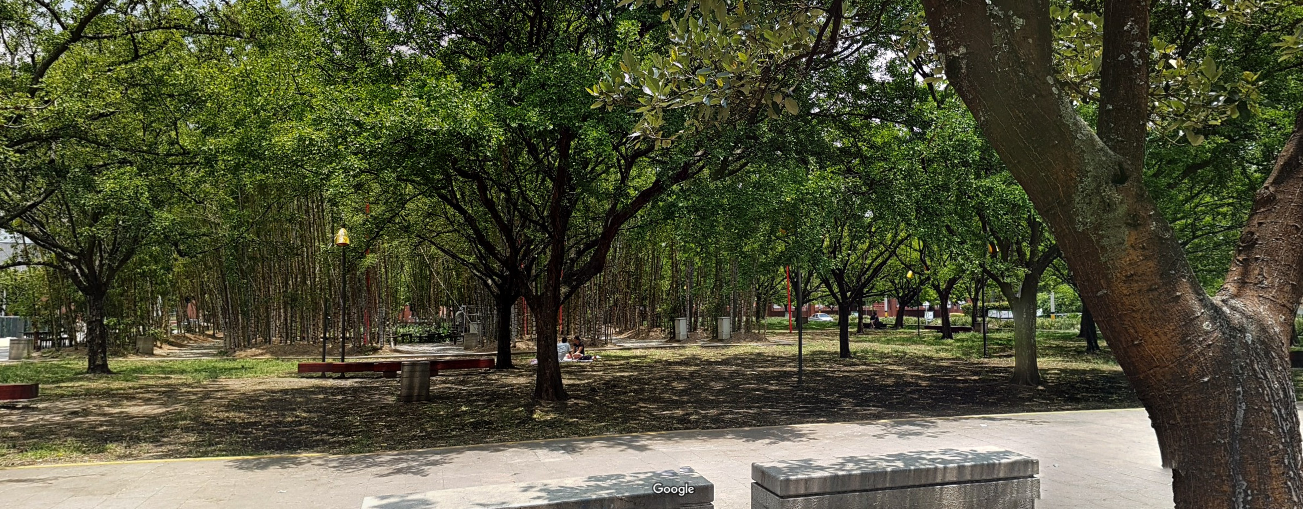 Ecologistas en Acción y Barrios por el Clima organizan una mesa redonda con el título “Del árbol placebo al árbol medicina”