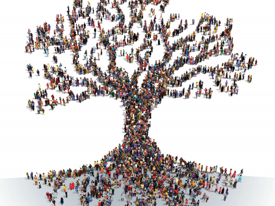 El valor de lo Común