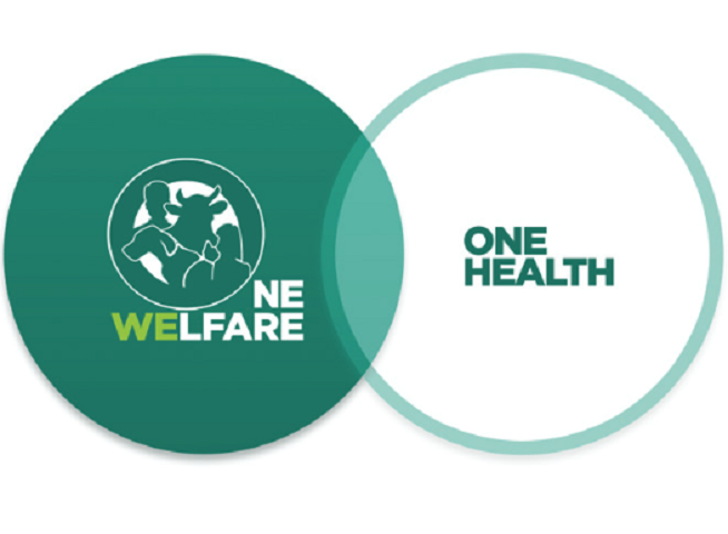 Mosqueteros de la Tierra