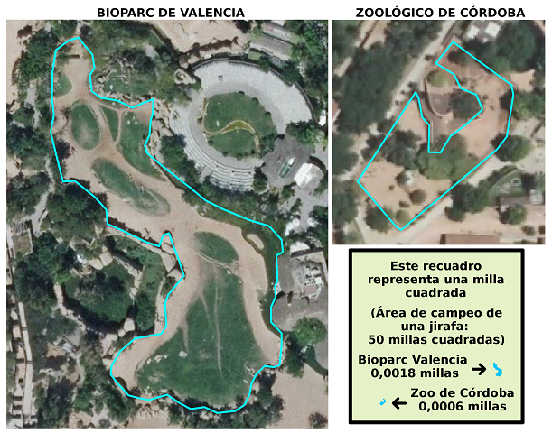 La jirafa que no podía correr