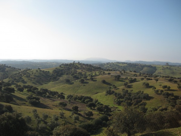La teledetección confirma la importancia de una de las canteras de piedra que decoró Andalucía en la antigüedad