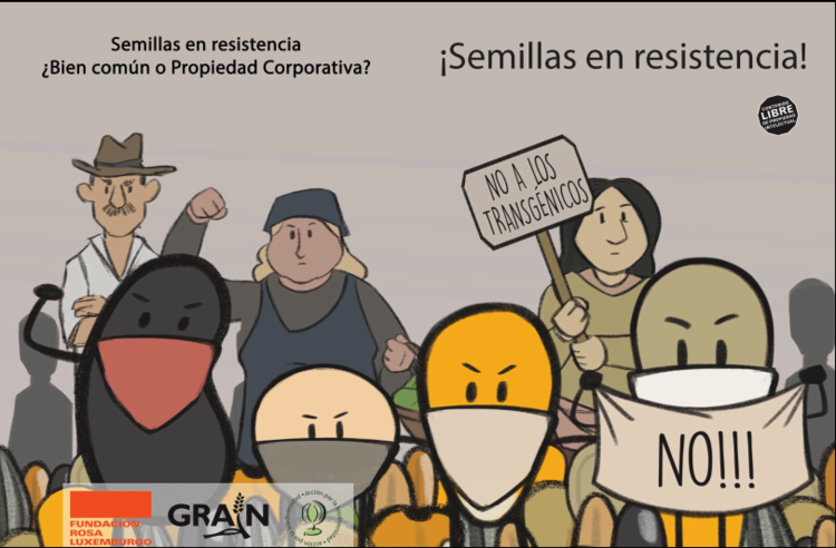 Semillas en Resistencia