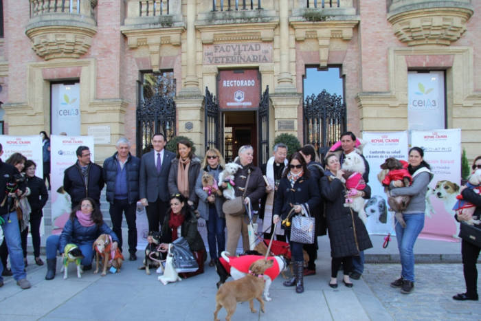 UNI Laica denuncia la superchería y el confesionalismo de la Facultad de Veterinaria de Córdoba con motivo de san Antón