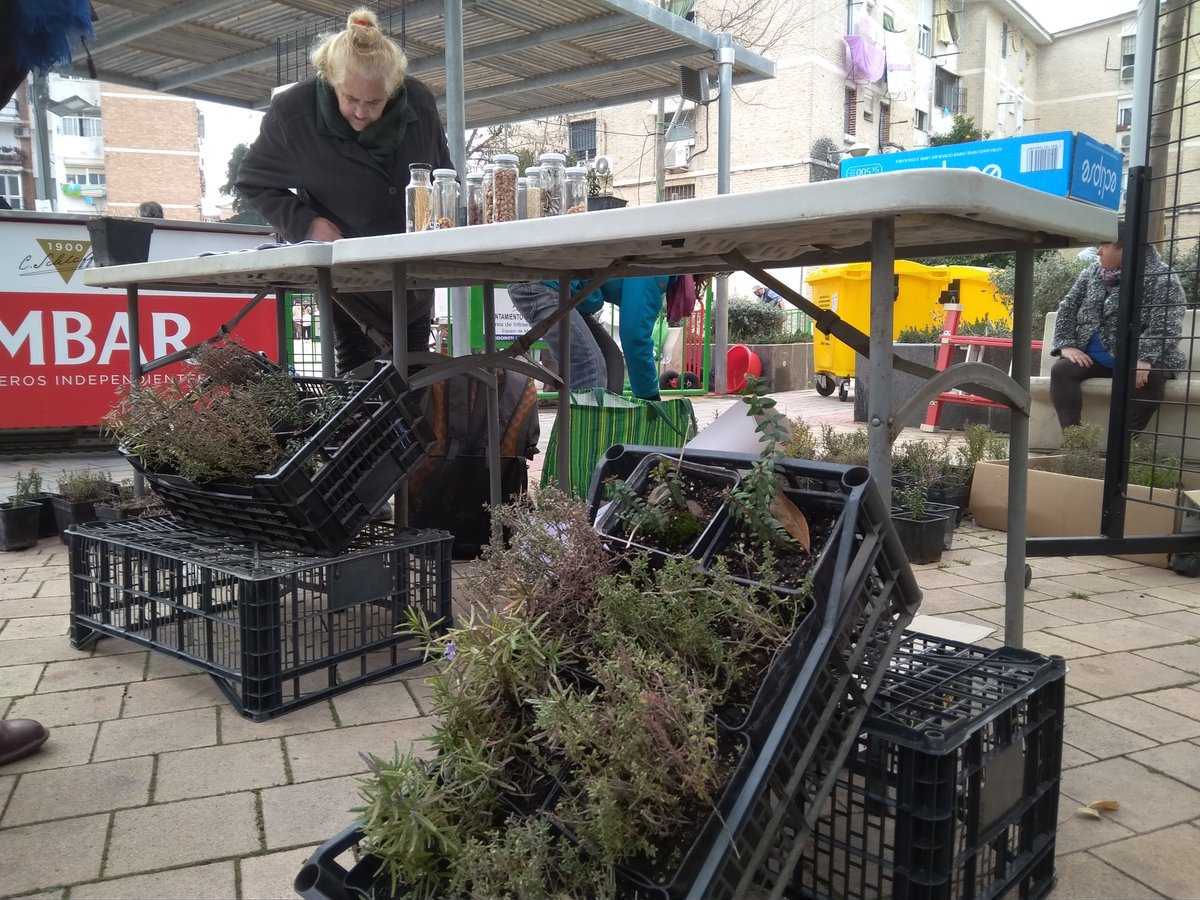 «Barrios por el clima» se afianza: actualmente se está desarrollando en seis barrios