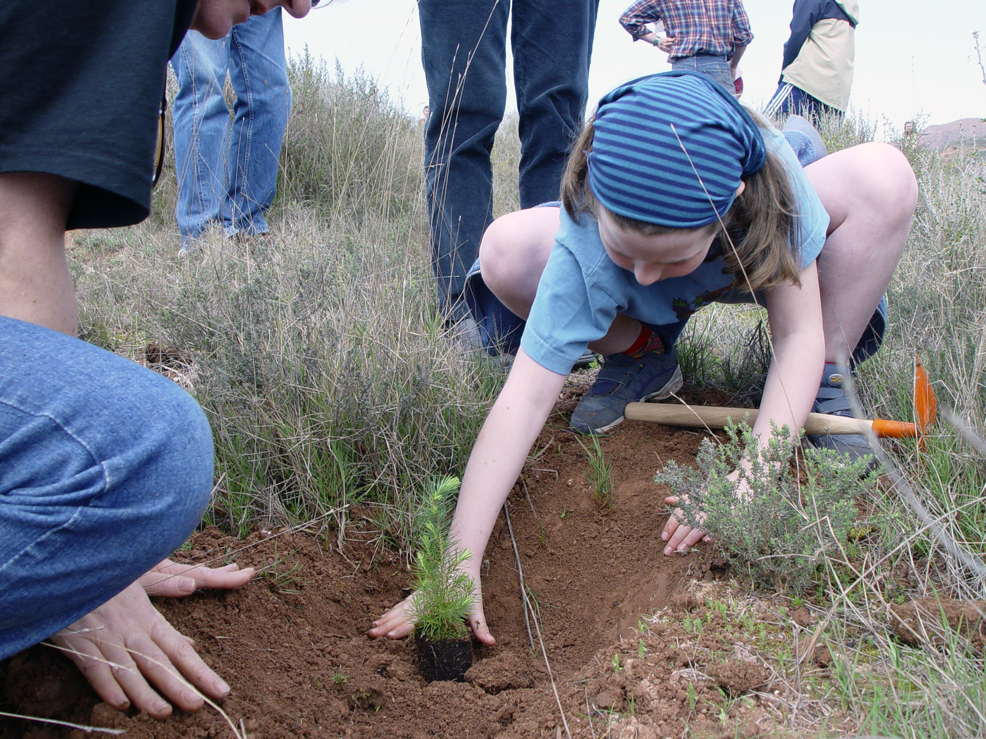 Las mentiras, medias verdades y manipulaciones de ‘Jara y Sedal’