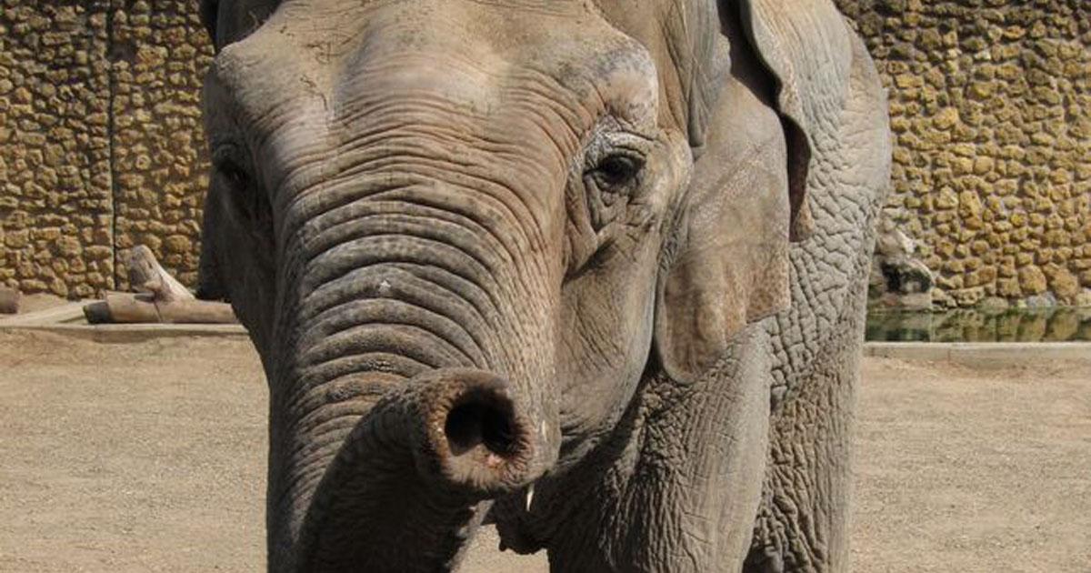 0af468c39f29f4431296844e655b20e4