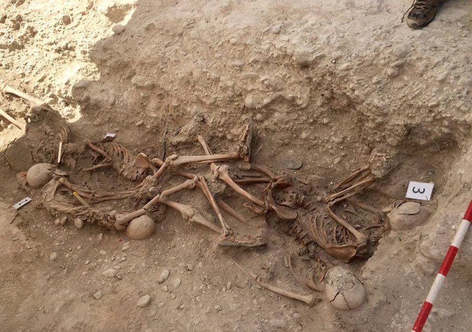 Ante las amenazas del nuevo Gobierno en la Junta, llaman a crear un ente organizativo memorialista andaluz