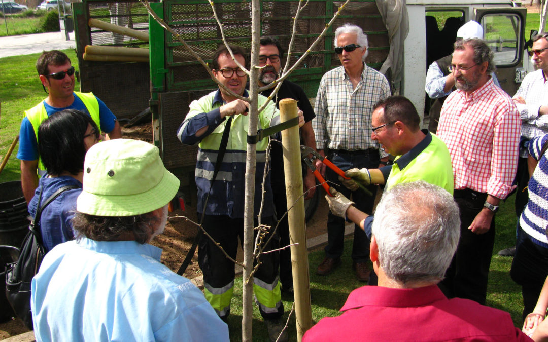 «Un ginkgo por Fukushima»