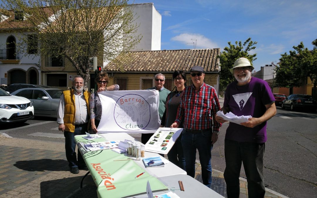 El Campo de la Verdad plantea árboles, toldos y pavimento ‘blando’  frente al cambio climático