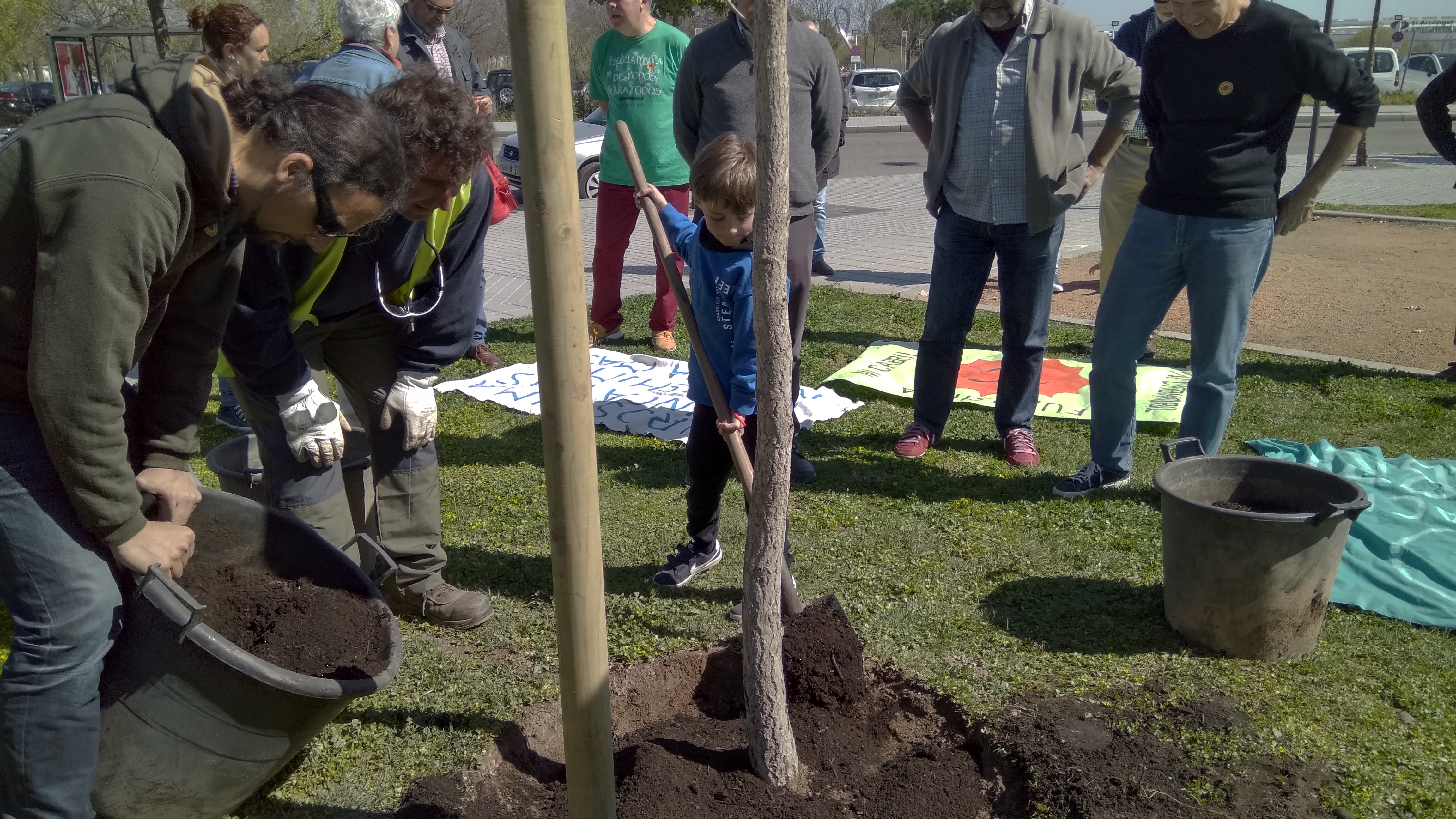 Plantación de un nuevo ginkgo en conmemoración del accidente nuclear de Fukushima, del que hoy se cumple el 8º aniversario
