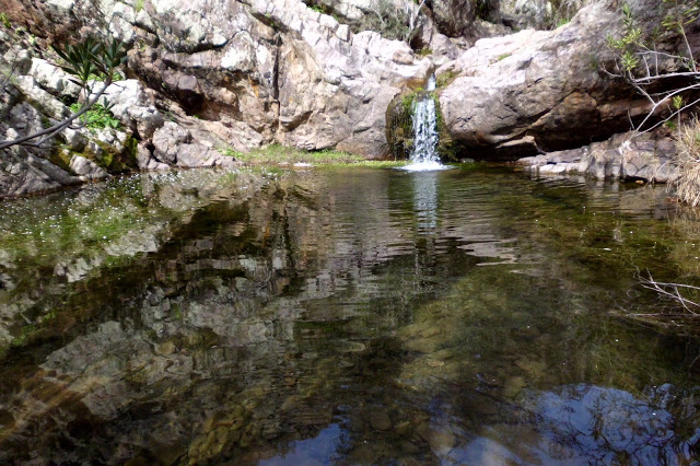 Unas jornadas pondrán en valor la riqueza medioambiental y la fauna de los ríos de Córdoba