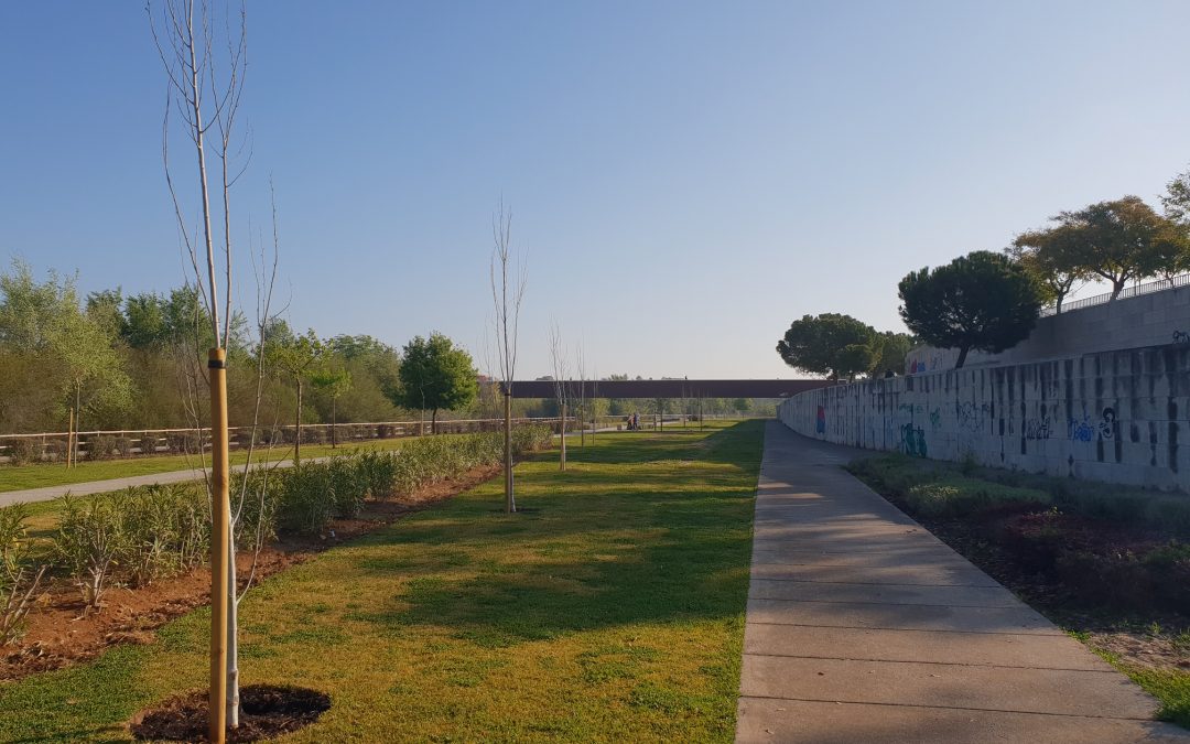 El Parque de Miraflores cuenta con 52 nuevos árboles recién plantados