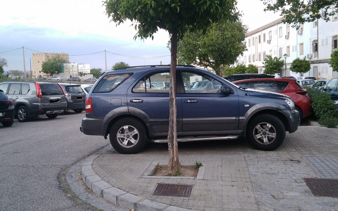 El Campo de la Verdad “no va a consentir” que la grúa se lleve en Feria “ni un coche” de un vecino