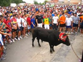El ocaso de los festejos populares taurinos y la Tauromaquia