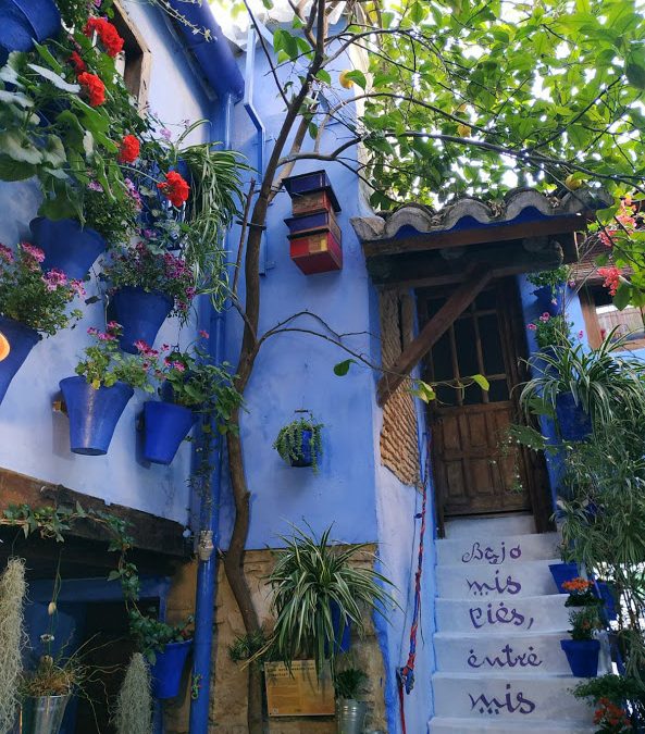 Primeros hoteles de insectos instalados en los patios de Córdoba