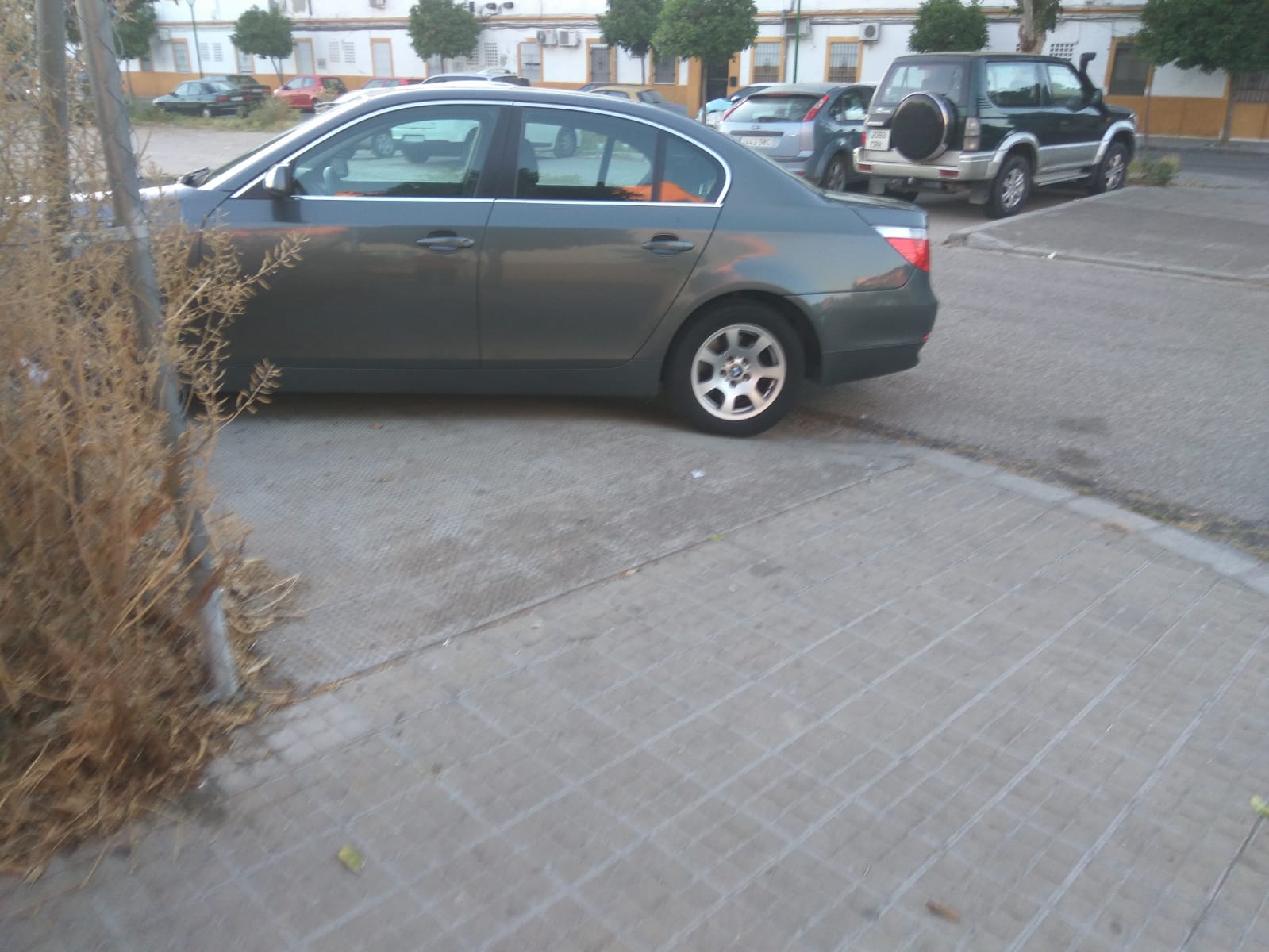 WhatsApp Image 2019-05-14 at 14.15.44