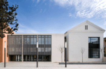 El Consejo del Movimiento Ciudadano pide una apuesta por la red de bibliotecas y Cultura en red
