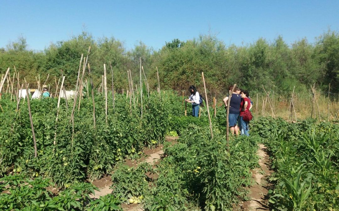 La tormenta de ayer sábado hace estragos en los asentamientos de las personas gitanas rumanas