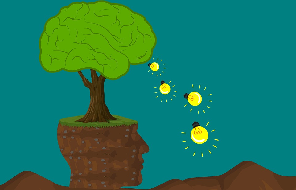 Educación y Medio Ambiente