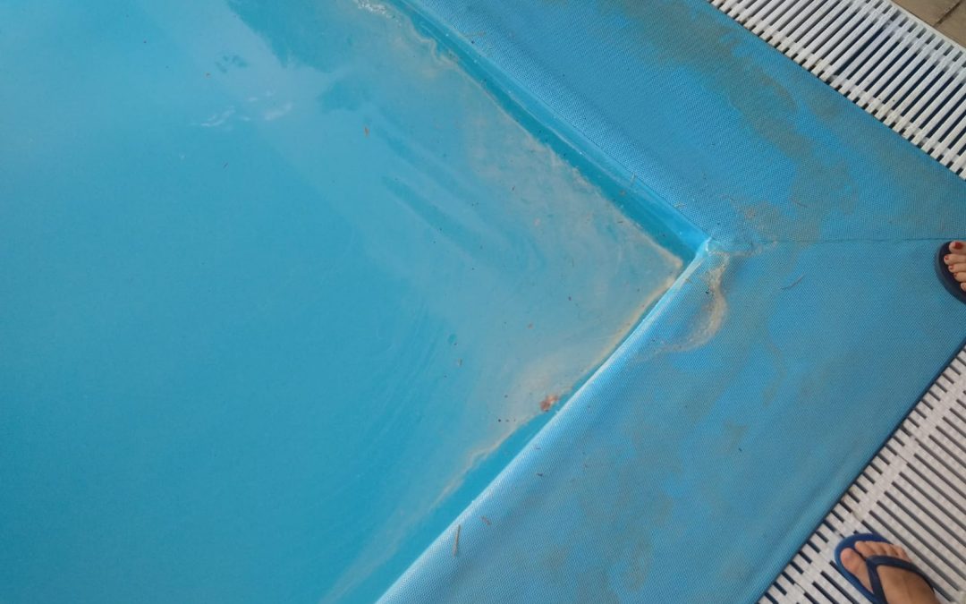 Gracias IMDECO por «no cortarnos las dos manos»