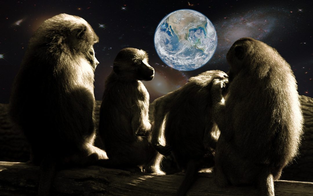«El planeta de los simios» para reflexionar sobre el papel humano en el mundo