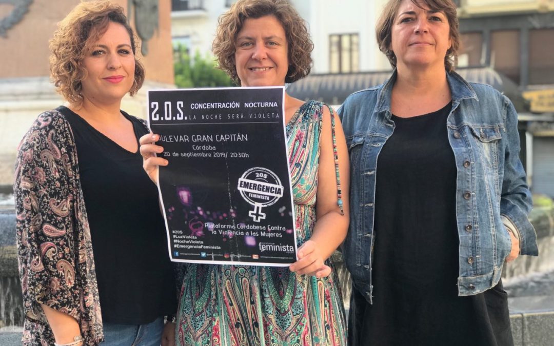 El PCA llama a la movilización ante la situación de «Emergencia Feminista»