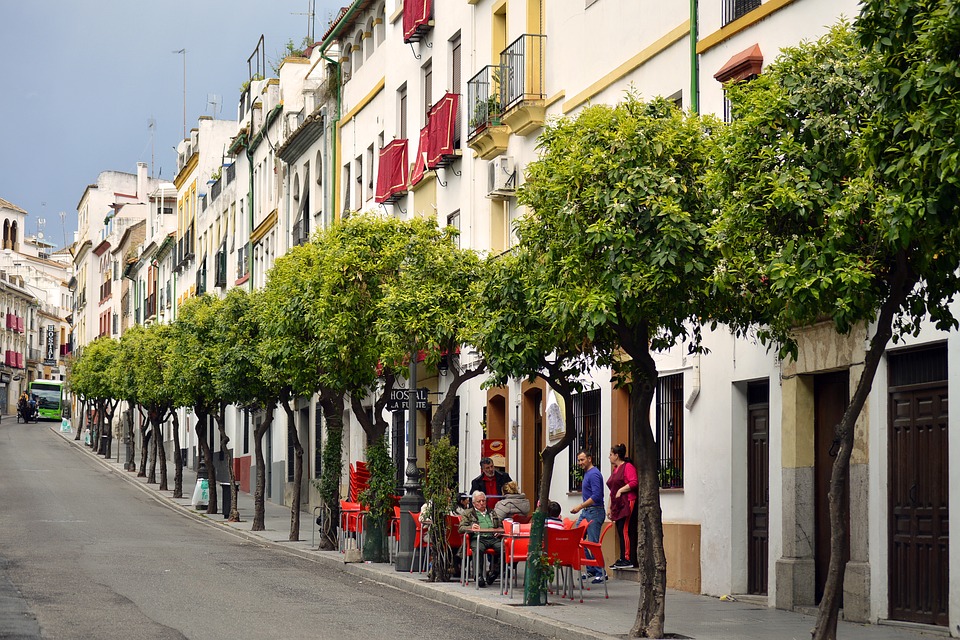 Al-Zahara urge a ordenar los usos del Caso Histórico