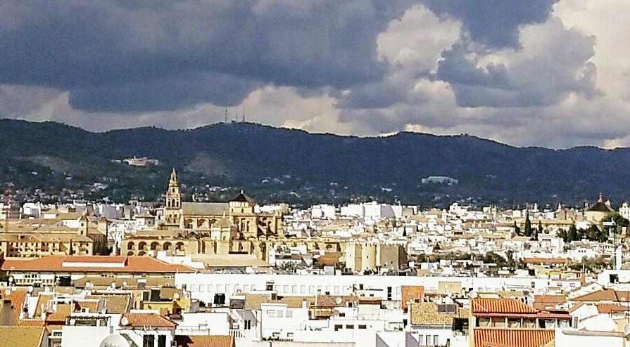 El movimiento ciudadano insta a actuar de manera urgente en el Casco Histórico