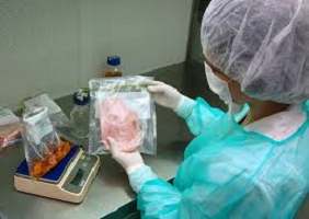 San Mechado y Santa Listeria, patrones de las intoxicaciones alimentarias