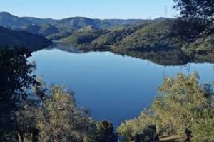 Ecologistas en Acción denuncia en Córdoba parálisis en órganos de la Junta participados socialmente