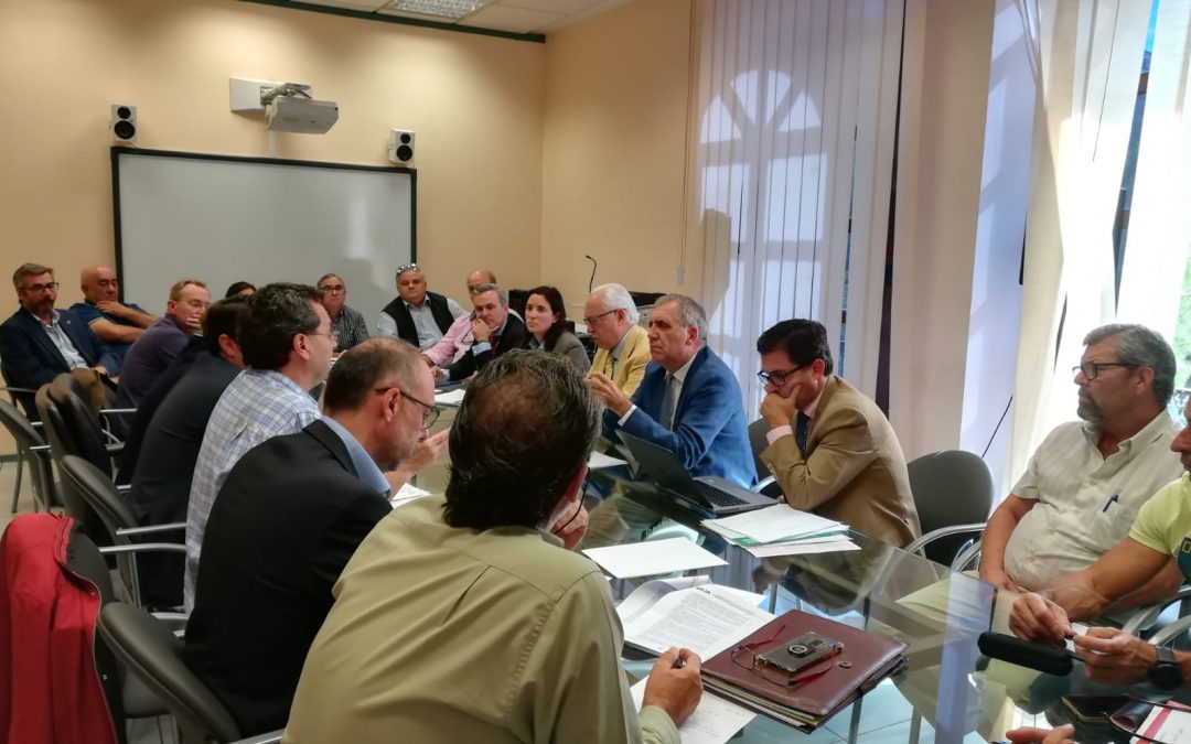 Ayuntamiento, Junta de Andalucía y Movimiento Ciudadano acordarán medidas para facilitar suministros básicos en las parcelaciones