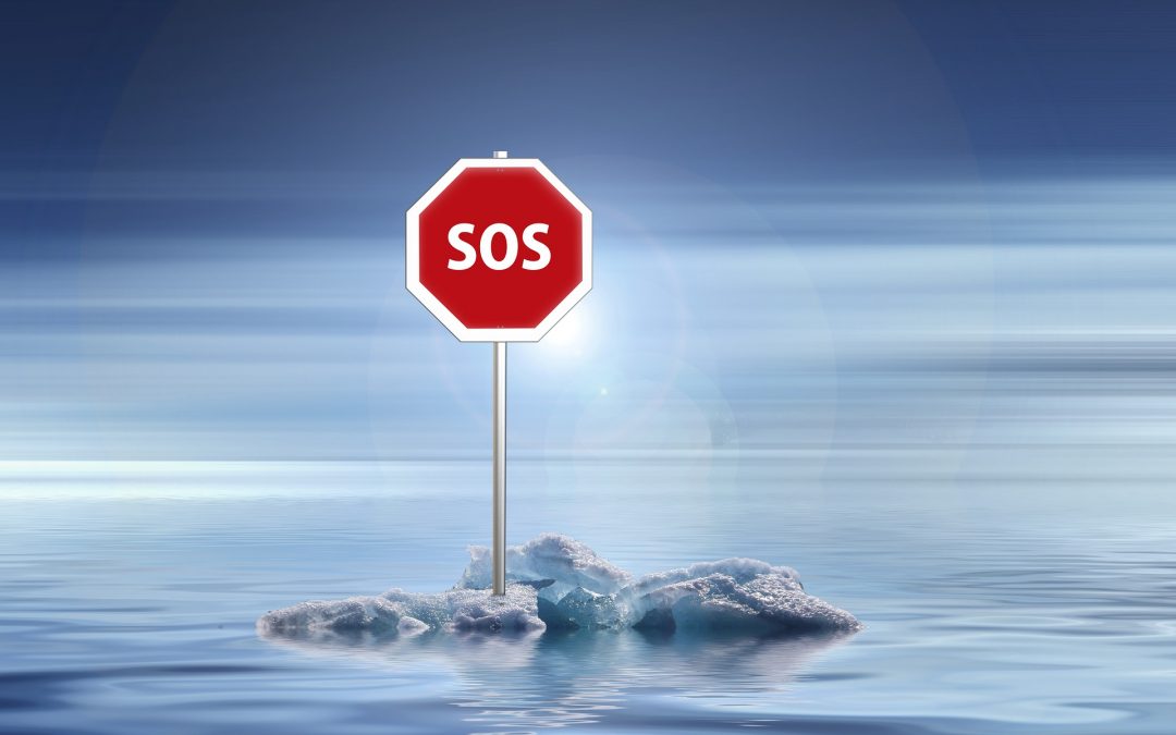 Las salidas a la Crisis Climática y la Renta Básica Universal