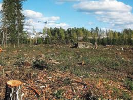 XXIII Campaña “una andaluza, un árbol” de Ecologistas en Acción.